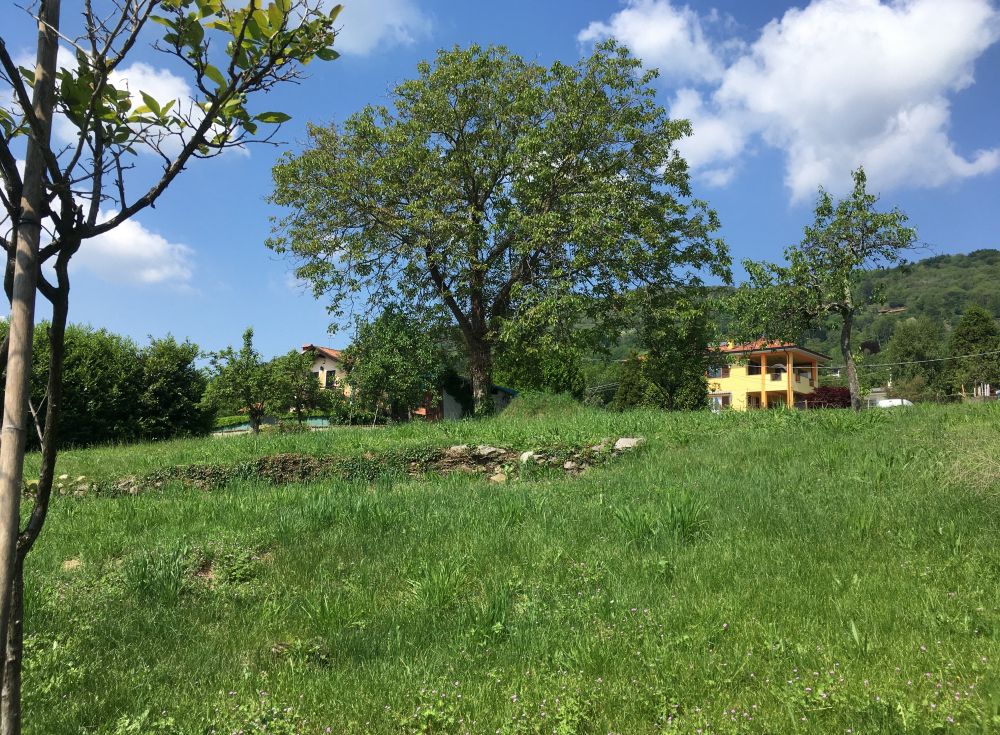 terreno edificabile in vendita a Nebbiuno 